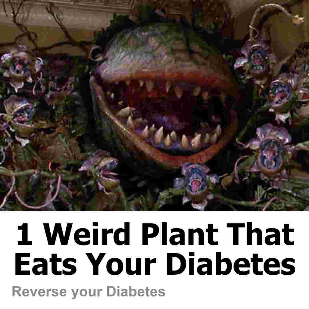 The Little Shop of Horrors Plant with text saying '1 weird plant that eats your diabetes' at the bottom